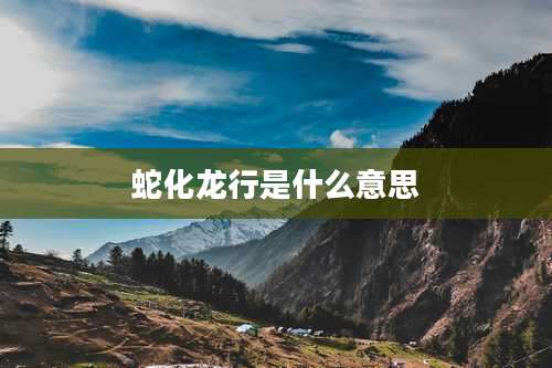 蛇化龙行是什么意思