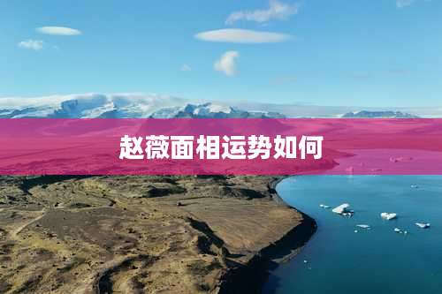 赵薇面相运势如何