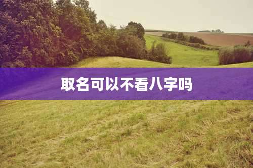 取名可以不看八字吗