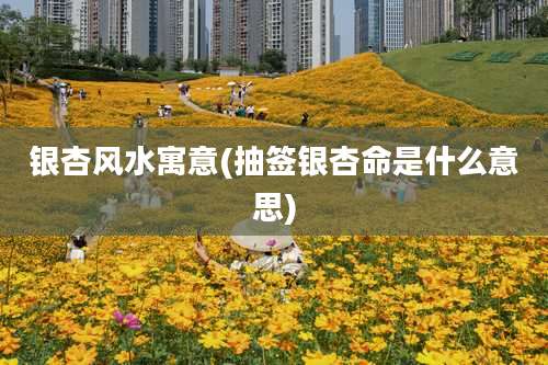 银杏风水寓意(抽签银杏命是什么意思)