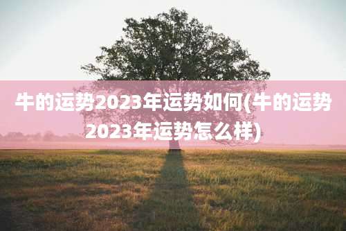 牛的运势2023年运势如何(牛的运势2023年运势怎么样)