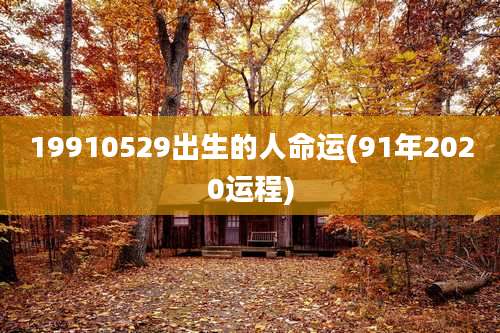 19910529出生的人命运(91年2020运程)