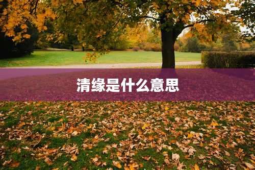 清缘是什么意思
