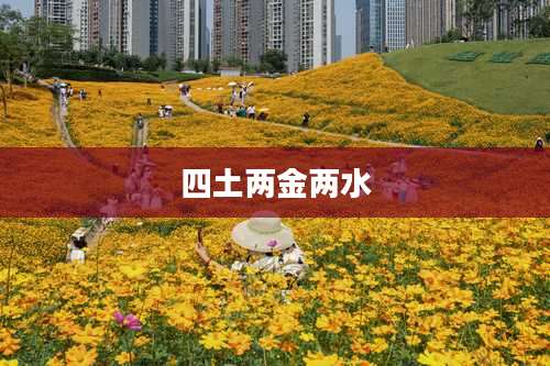 四土两金两水