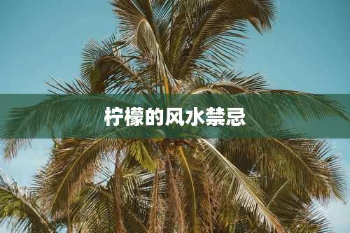 柠檬的风水禁忌