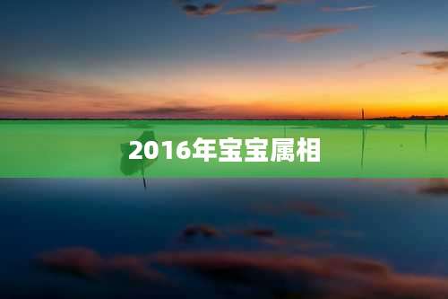 2016年宝宝属相