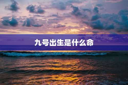 九号出生是什么命