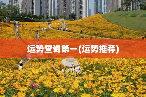 运势查询第一(运势推荐)