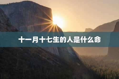 十一月十七生的人是什么命