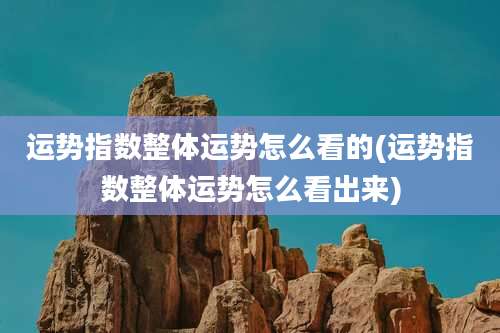 运势指数整体运势怎么看的(运势指数整体运势怎么看出来)