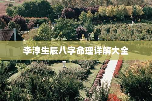 李淳生辰八字命理详解大全