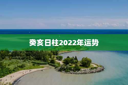 癸亥日柱2022年运势