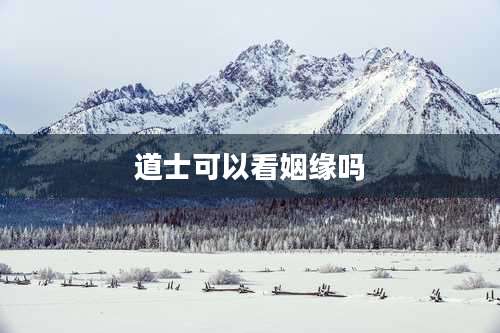 道士可以看姻缘吗