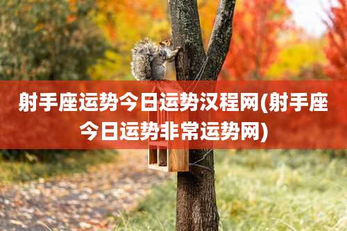 射手座运势今日运势汉程网(射手座今日运势非常运势网)