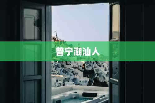 普宁潮汕人