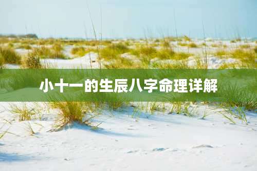 小十一的生辰八字命理详解