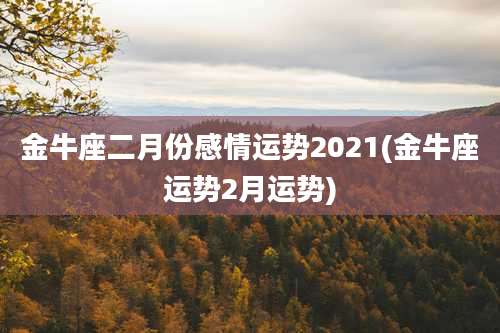 金牛座二月份感情运势2021(金牛座运势2月运势)