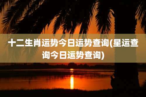 十二生肖运势今日运势查询(星运查询今日运势查询)