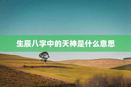 生辰八字中的天神是什么意思
