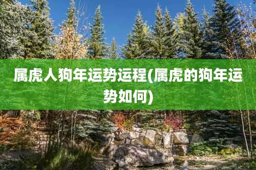 属虎人狗年运势运程(属虎的狗年运势如何)