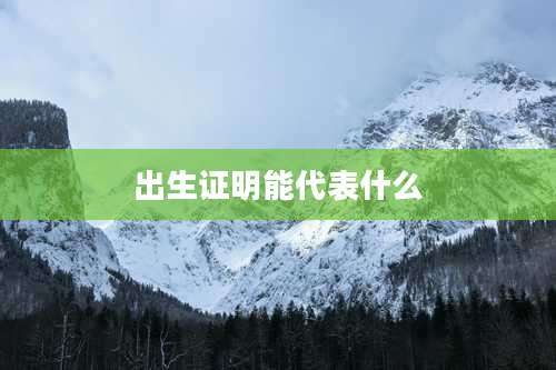 出生证明能代表什么