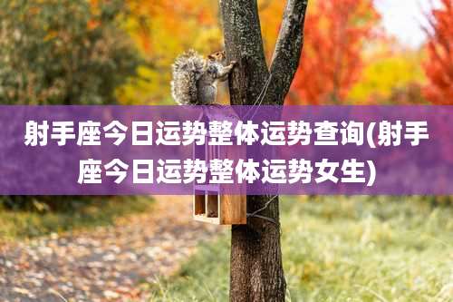 射手座今日运势整体运势查询(射手座今日运势整体运势女生)