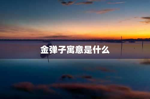 金弹子寓意是什么