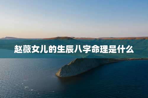 赵薇女儿的生辰八字命理是什么