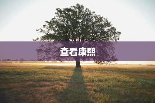 查看康熙