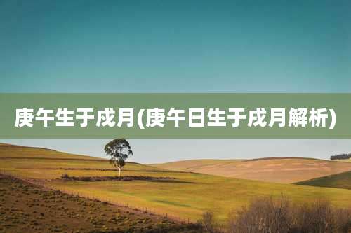 庚午生于戍月(庚午日生于戌月解析)