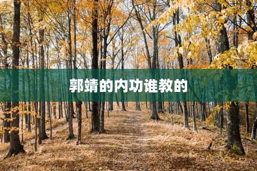 郭靖的内功谁教的