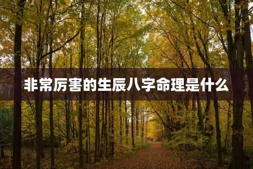 非常厉害的生辰八字命理是什么