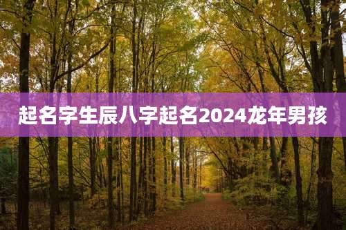 起名字生辰八字起名2024龙年男孩