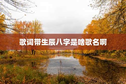 歌词带生辰八字是啥歌名啊