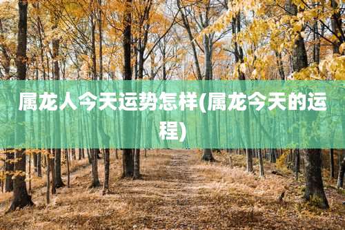 属龙人今天运势怎样(属龙今天的运程)