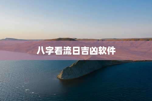 八字看流日吉凶软件