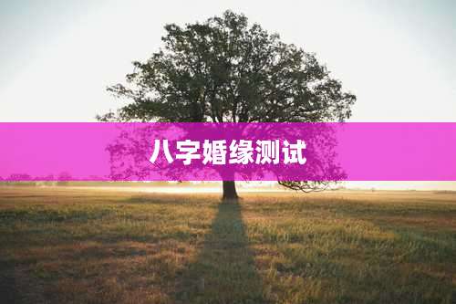 八字婚缘测试