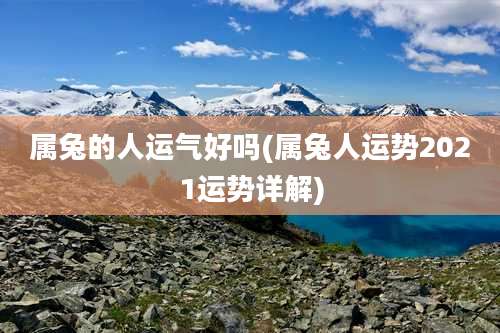 属兔的人运气好吗(属兔人运势2021运势详解)