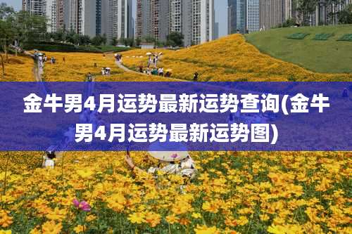 金牛男4月运势最新运势查询(金牛男4月运势最新运势图)