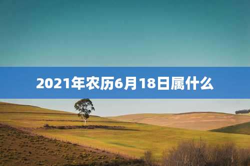 2021年农历6月18日属什么