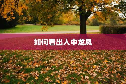 如何看出人中龙凤