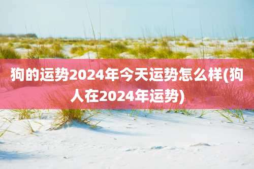 狗的运势2024年今天运势怎么样(狗人在2024年运势)