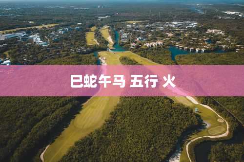 巳蛇午马 五行 火