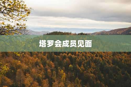 塔罗会成员见面