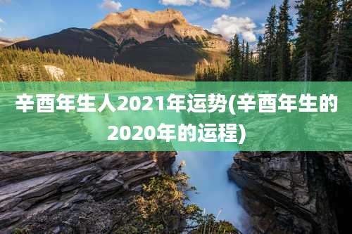 辛酉年生人2021年运势(辛酉年生的2020年的运程)