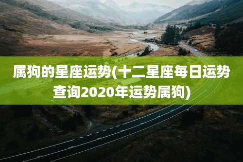 属狗的星座运势(十二星座每日运势查询2020年运势属狗)