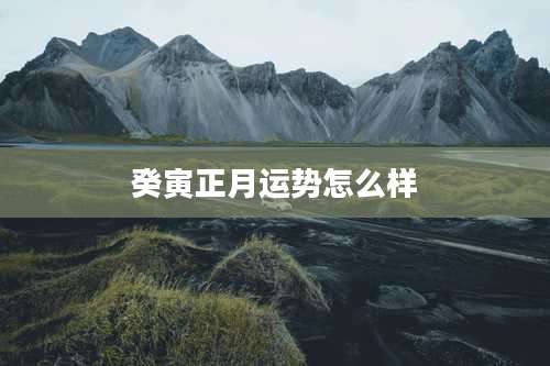癸寅正月运势怎么样