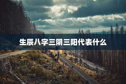 生辰八字三阴三阳代表什么