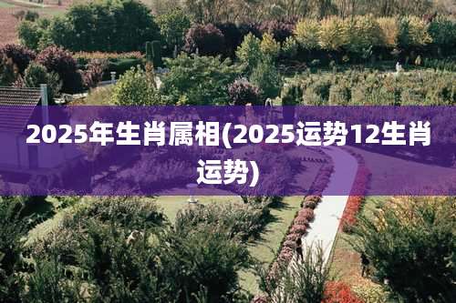 2025年生肖属相(2025运势12生肖运势)