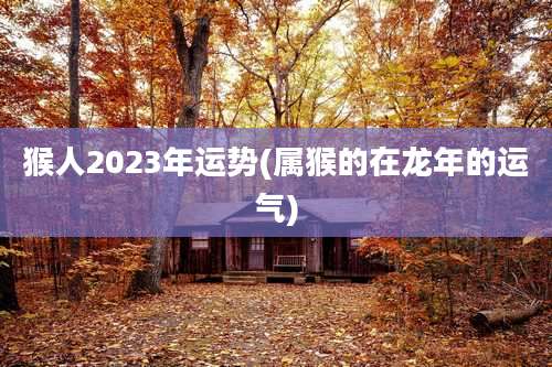 猴人2023年运势(属猴的在龙年的运气)